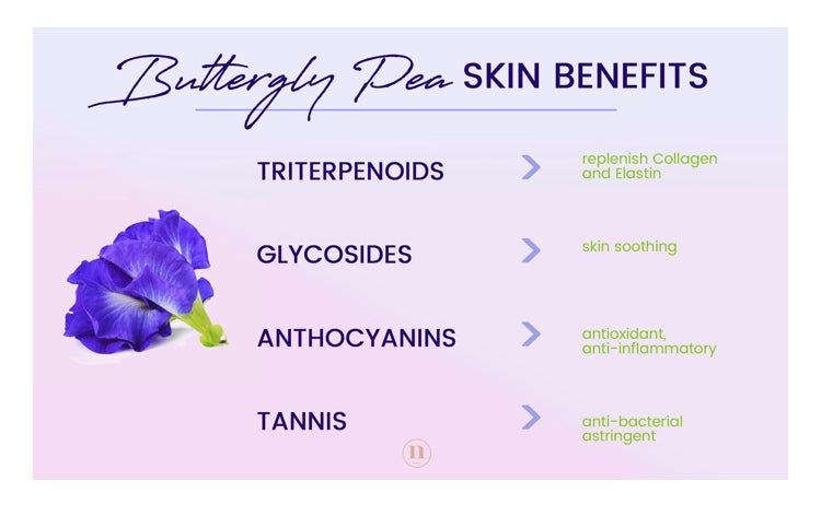 Butterfly Pea Flower Serum